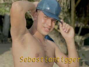 Sebastiantigger