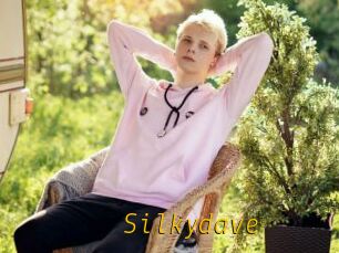 Silkydave