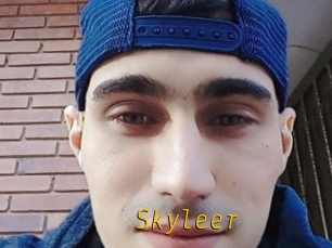 Skyleer