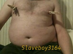 Slaveboy3164