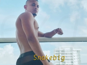 Snakebig