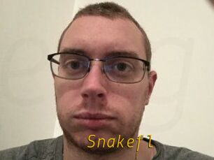 Snakefl