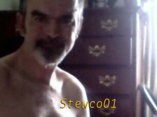 Stewco01