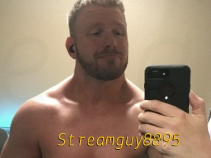 Streamguy8895