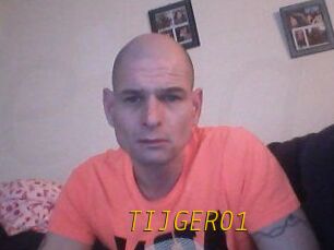 TIJGER01