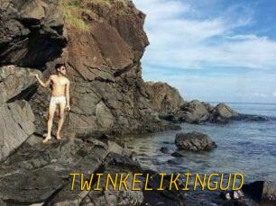 TWINKELIKINGUD
