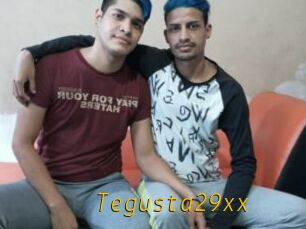 Tegusta29xx