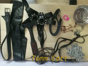 Tomm_Catt