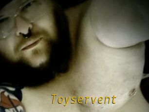 Toyservent
