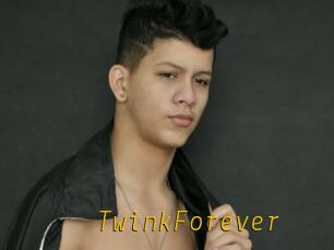 TwinkForever