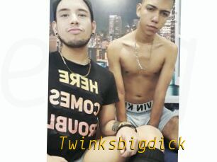 Twinksbigdick