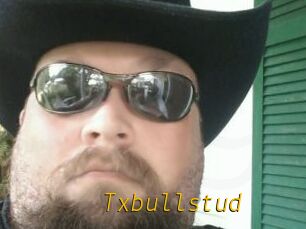 Txbullstud