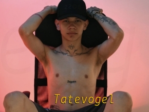 Tatevogel