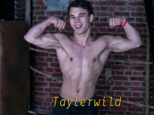 Taylerwild