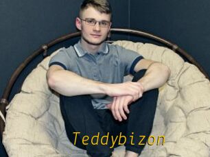 Teddybizon