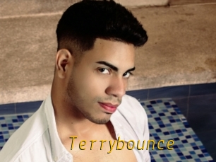 Terrybounce