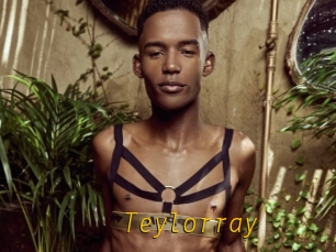 Teylorray
