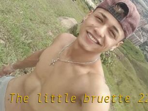 The_little_bruette_228