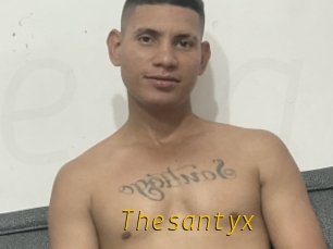 Thesantyx