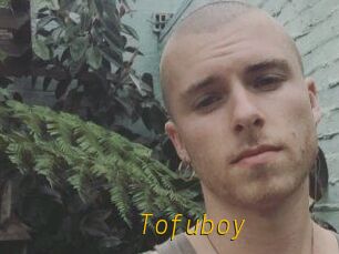 Tofu_boy