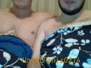 UncutPenis0214