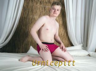 Urnicepitt