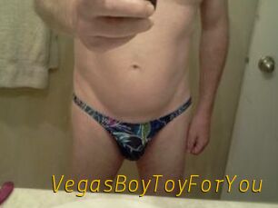 VegasBoyToyForYou