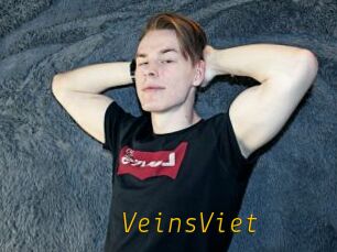 VeinsViet