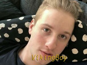 VikingBoy
