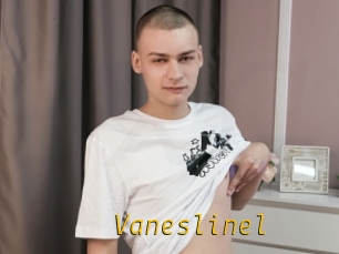Vaneslinel