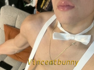 Vincentbunny