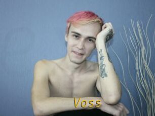 Voss