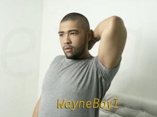 WayneBoyI