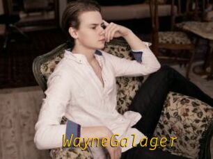 WayneGalager