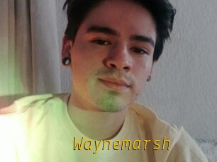 Waynemarsh