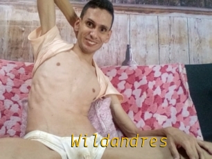 Wildandres
