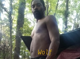 Wolf