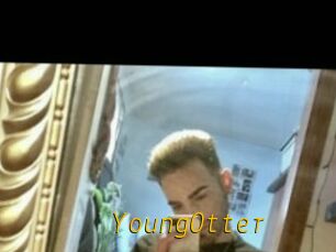 YoungOtter