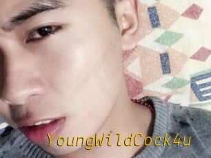 YoungWildCock4u