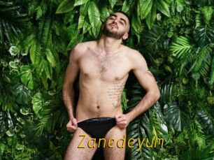 Zanedeyum